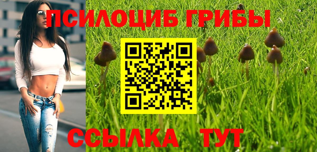 Галлюциногенные грибы Psilocybine cubensis  Белая Калитва 